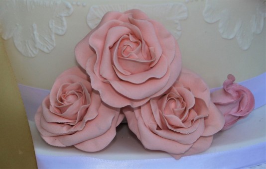 pink-roses-