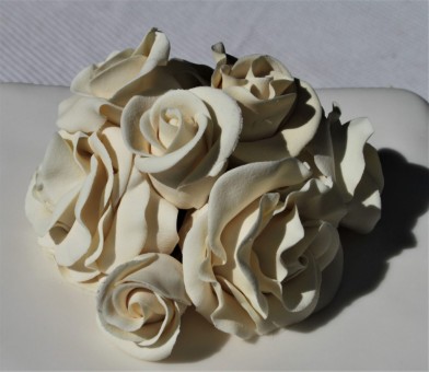 Cream-Roses-